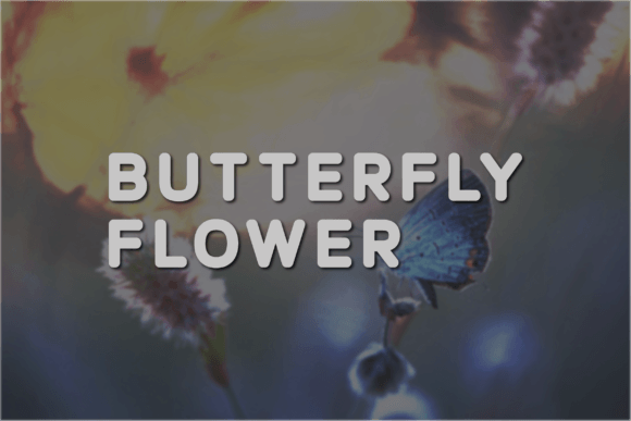Butterfly Flower Typeface for Editorial Design