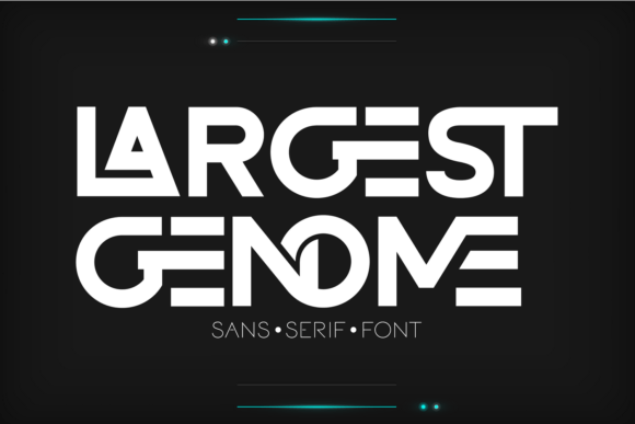Largest Genome Font for Modern Branding