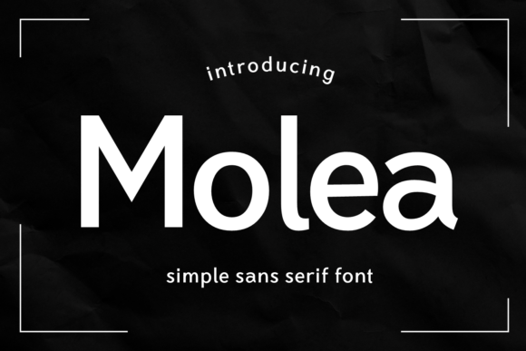 Molea: The Modern Sans Serif Typeface for Web Design