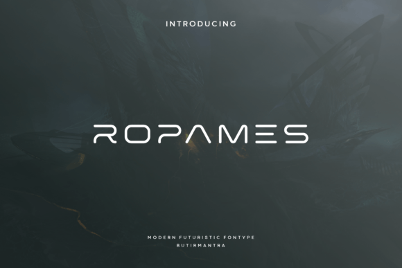 Ropames: The Modern Sans Serif Font for Digital Brands