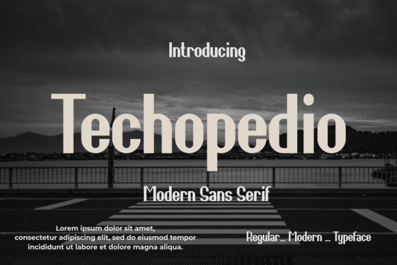 Techopedio Font for Modern Brand Identity